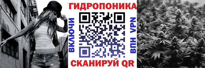 Марихуана сатива  наркота  Афипский 